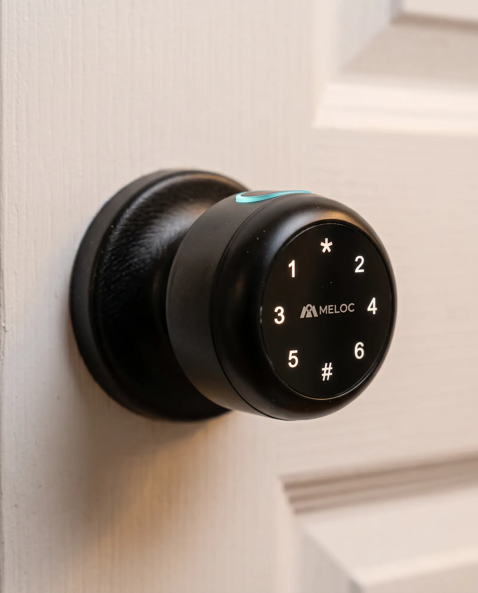 Close-up of the Interior lock handle
