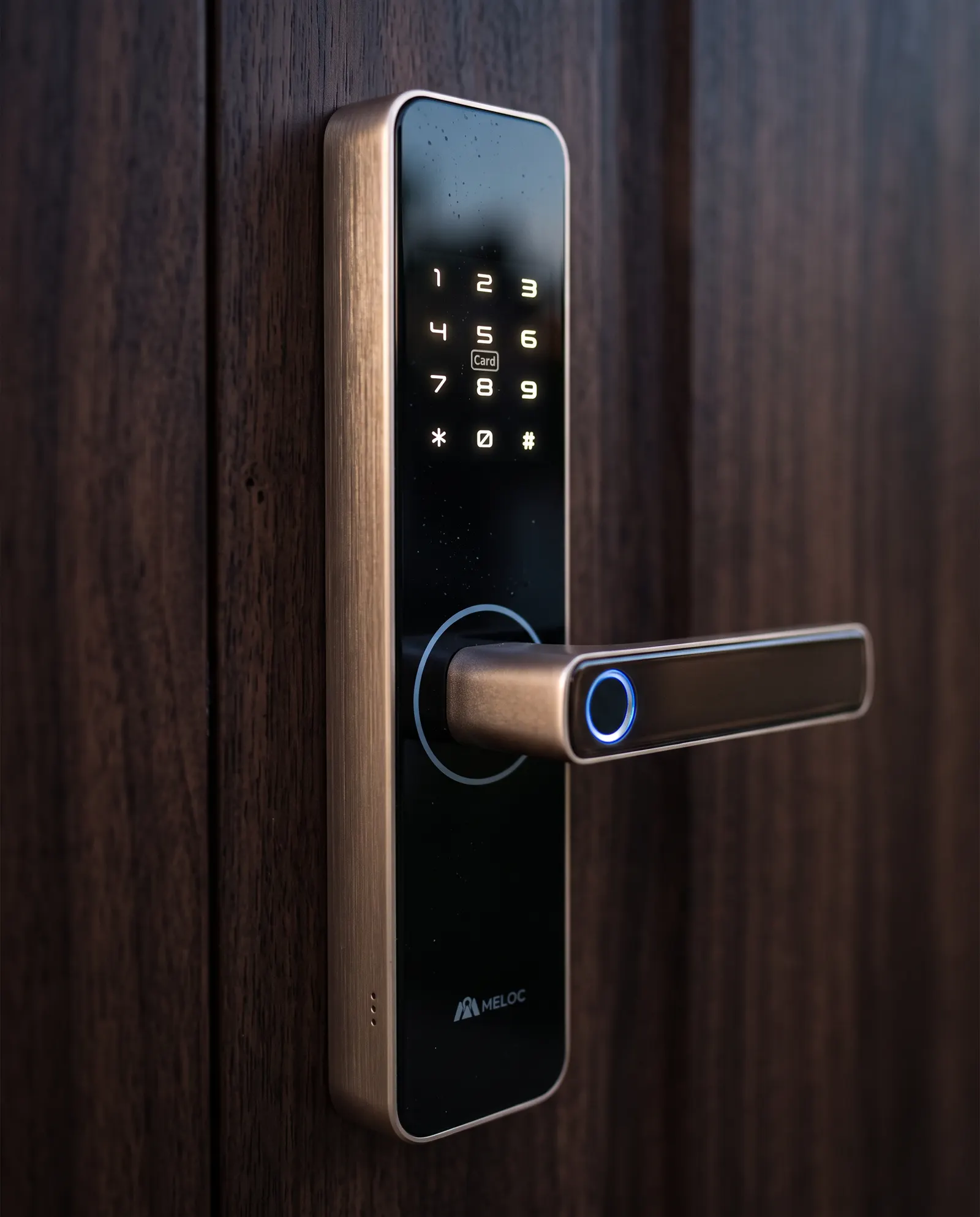 Close-up of the Pro lock handle and keypad